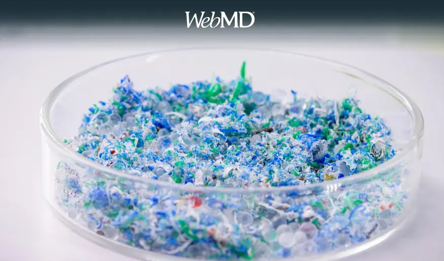 Traces of plastic and microplastic in petri dishes 