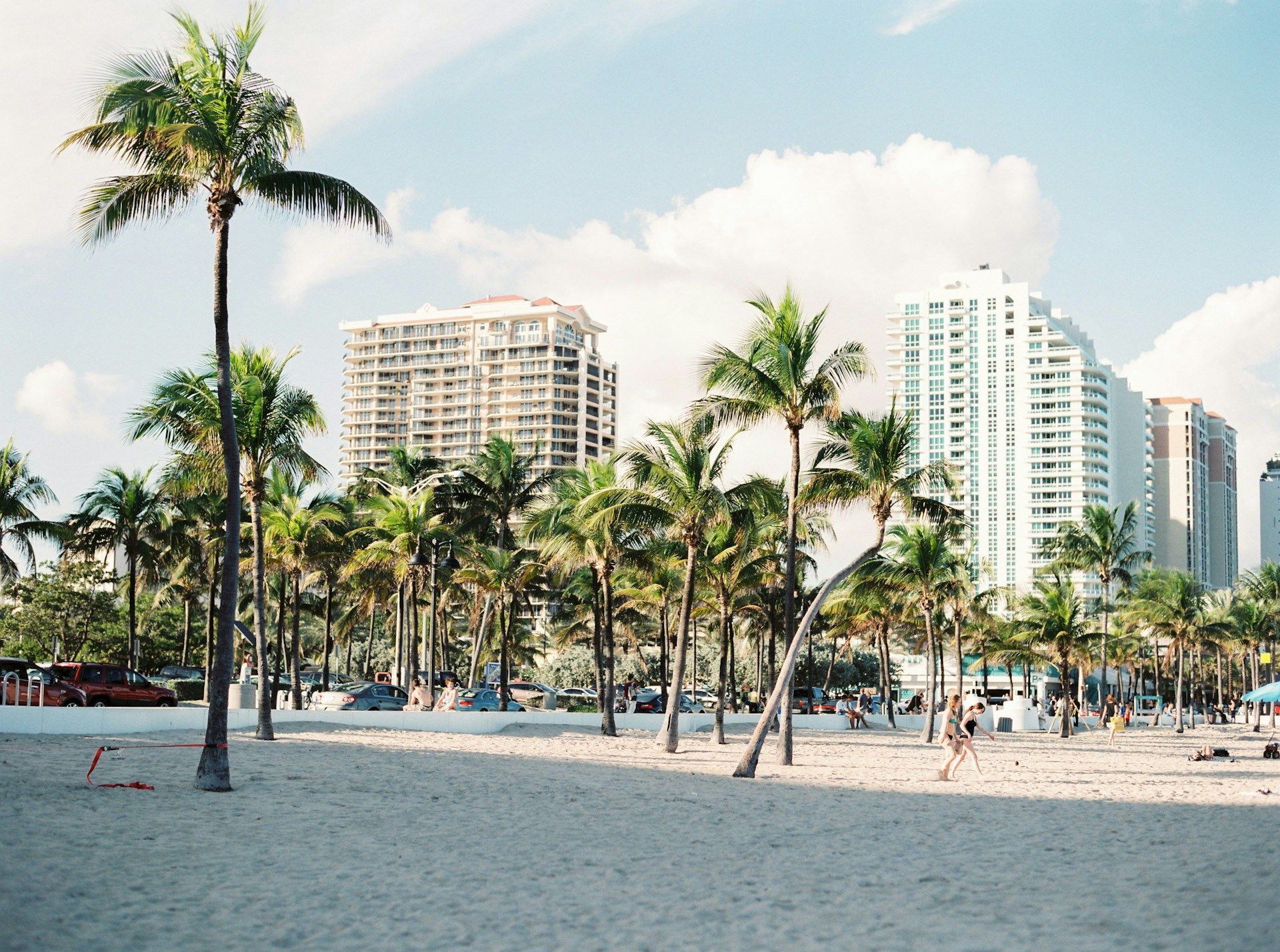 Palmeras en una playa de Miami